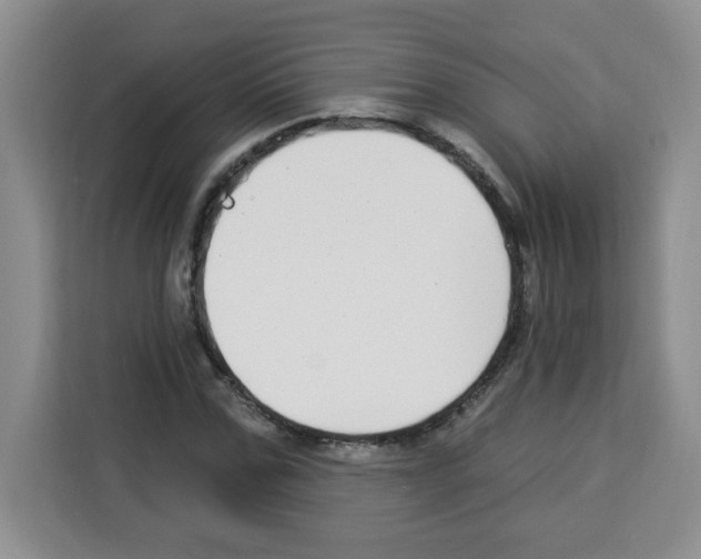 X0000113270971200910221056