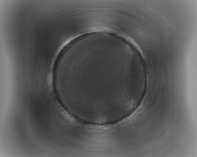 X0000113270975200910221056