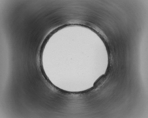 X0000113270976200910221056