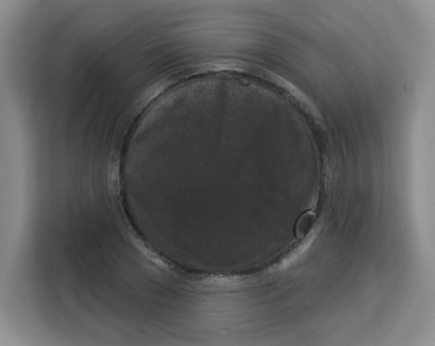 X0000113270977200910221056