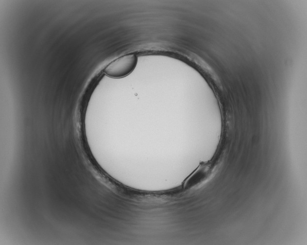 X0000113270981200910221056