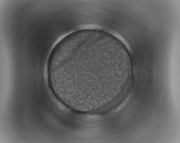 X0000113270983200910221056