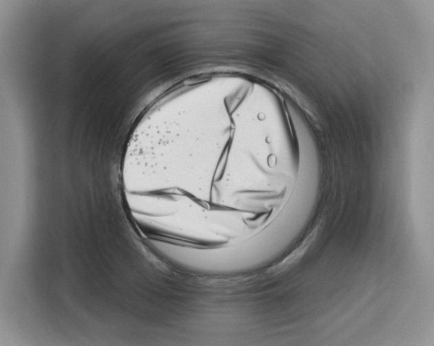 X0000113270985200910221055