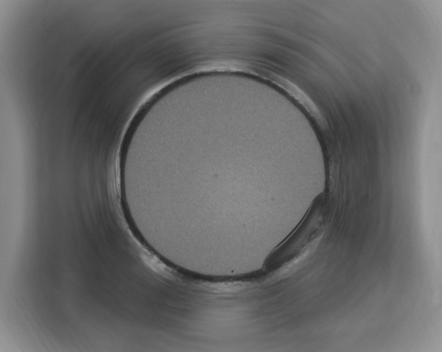 X0000113270988200910221055