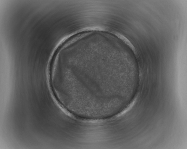 X0000113270989200910221055