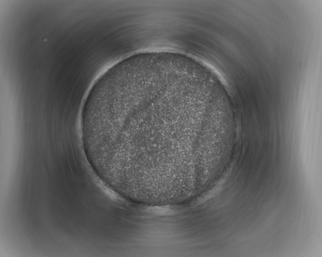 X0000113270990200910221055