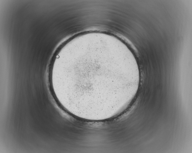 X0000113270991200910221055