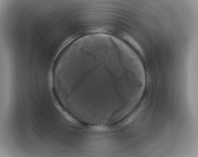 X0000113270994200910221055