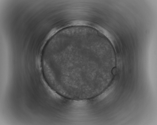 X0000113270997200910221055