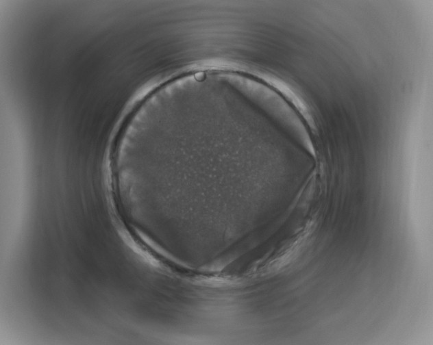 X0000113270998200910221055