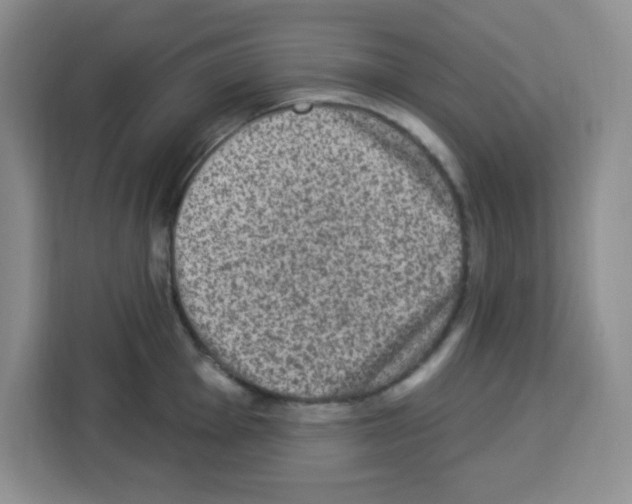 X0000113271001200910221055