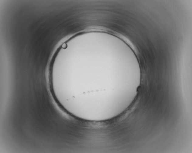 X0000113271003200910221055