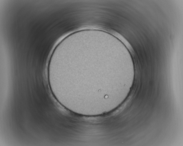 X0000113271004200910221055