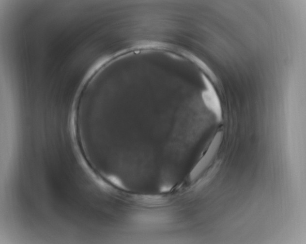 X0000113271007200910221055