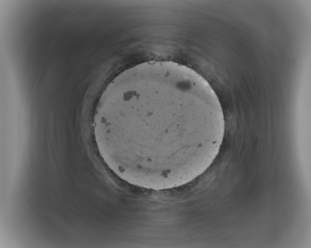 X0000113271009200910221055