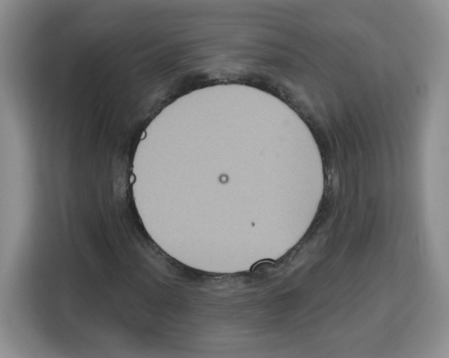 X0000113271012200910221055