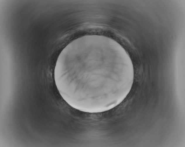 X0000113271013200910221055