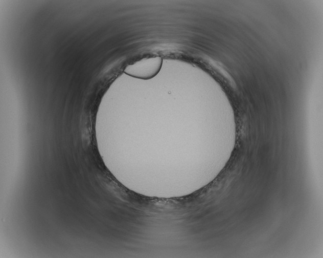 X0000113271015200910221055