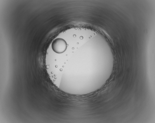 X0000113271016200910221055