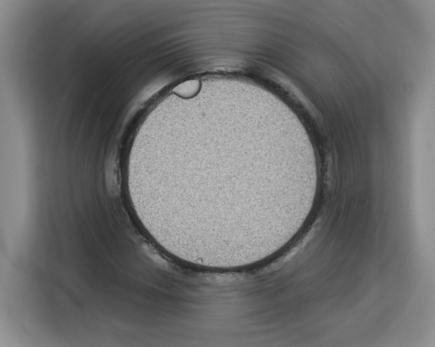 X0000113271018200910221055