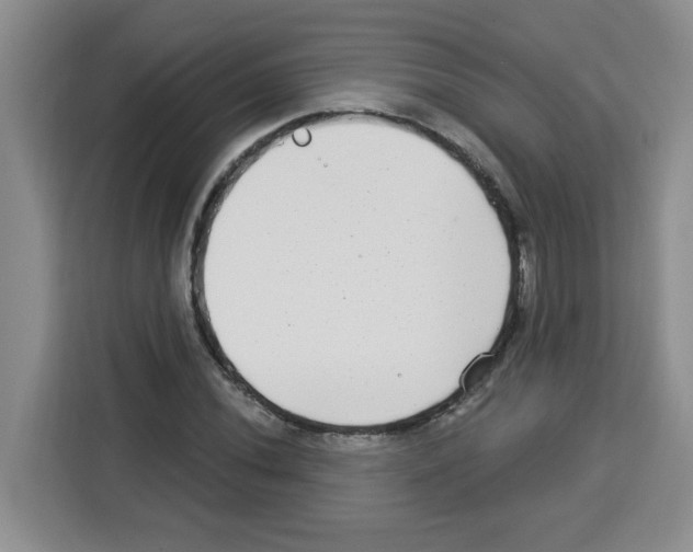 X0000113271020200910221055