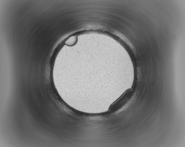 X0000113271021200910221055