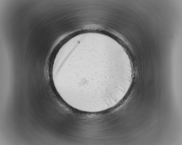 X0000113271022200910221055