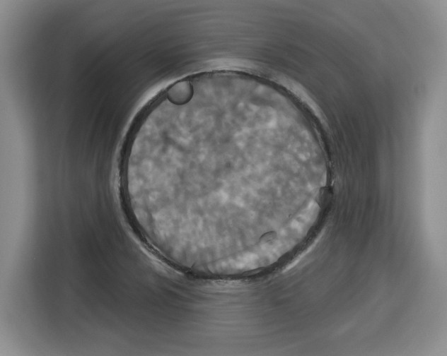 X0000113271024200910221055