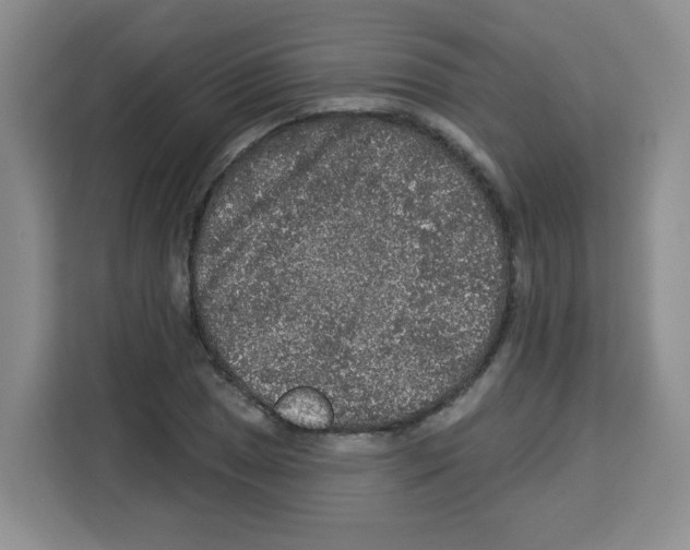 X0000113271025200910221055