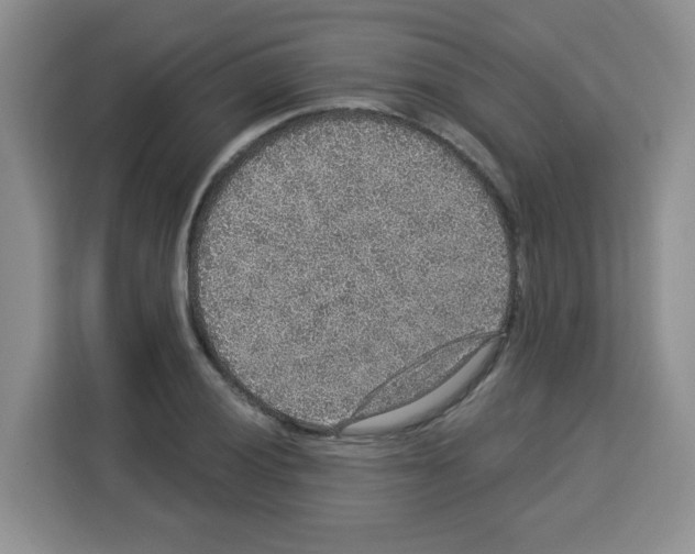 X0000113271028200910221055