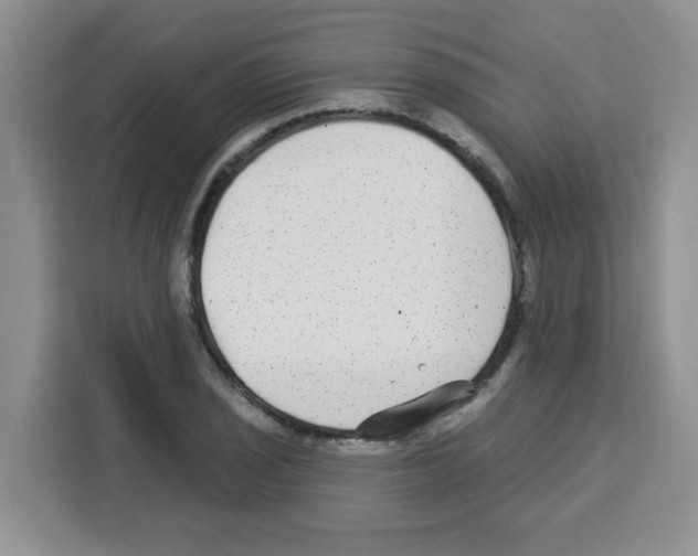 X0000113271029200910221055