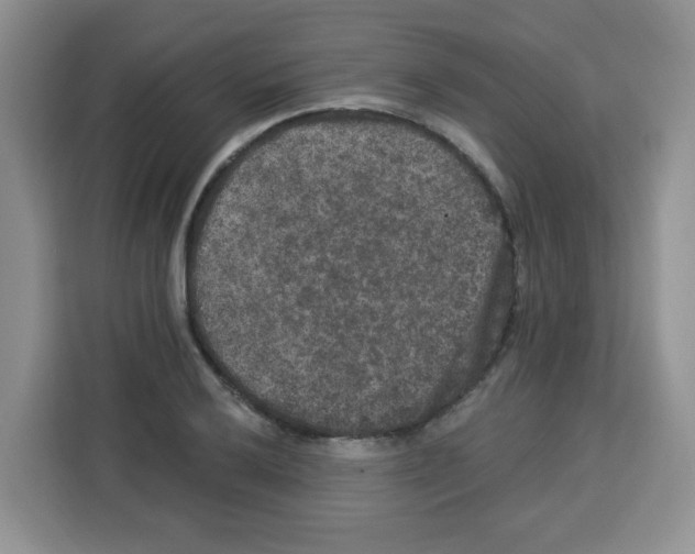 X0000113271032200910221055