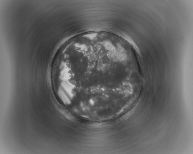 X0000113271035200910221055