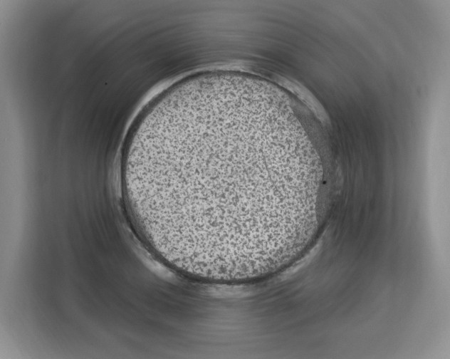 X0000113271036200910221055