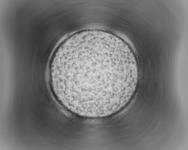 X0000113271040200910221055