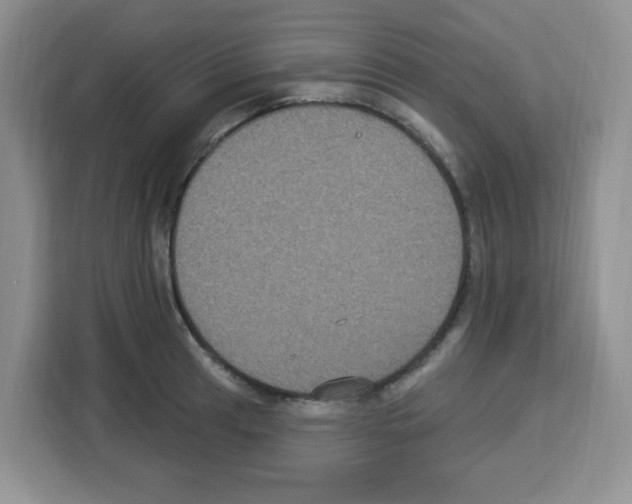 X0000113271041200910221055