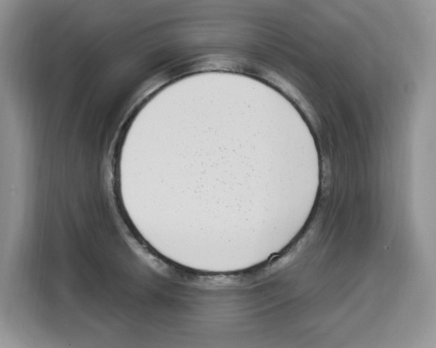 X0000113271042200910221055