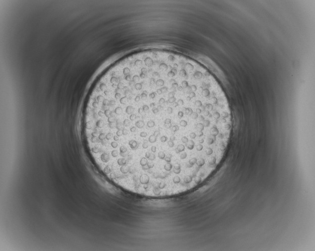 X0000113271044200910221055