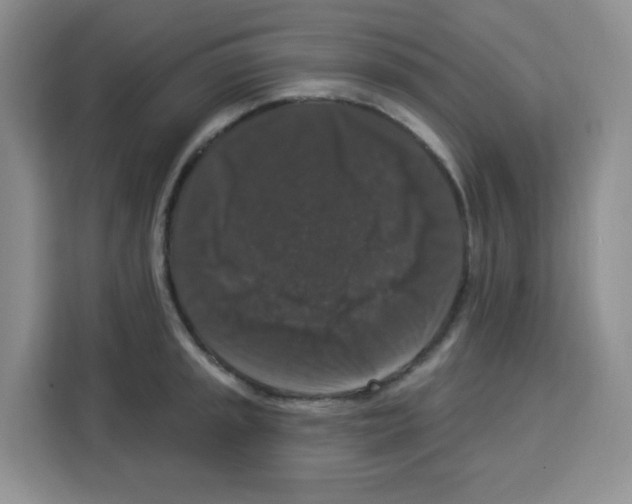 X0000113271045200910221055