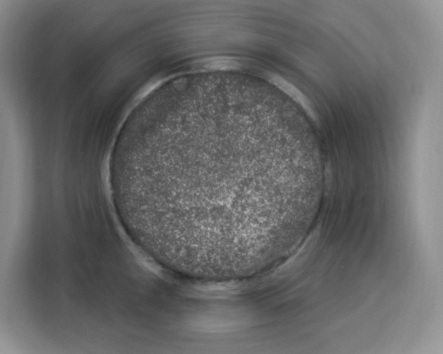 X0000113271047200910221055