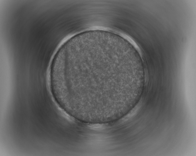 X0000113271048200910221055