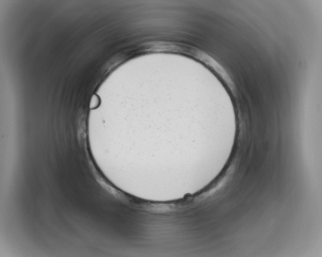 X0000113271049200910221055