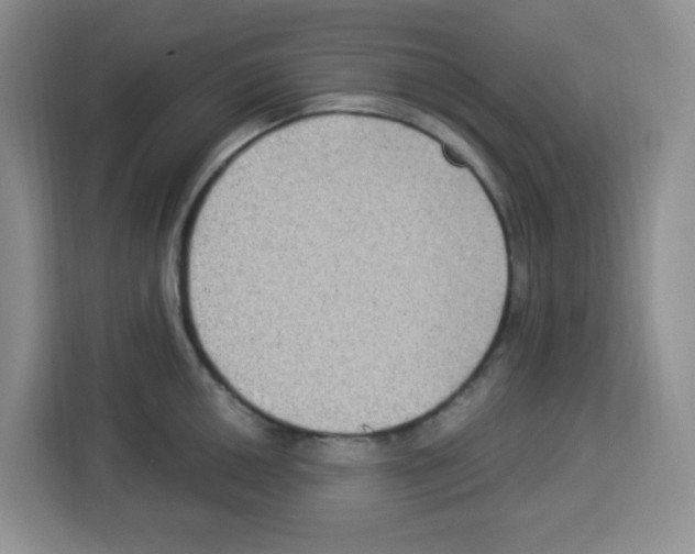 X0000113271050200910221055