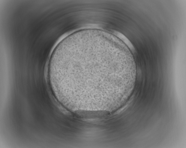 X0000113271052200910221055