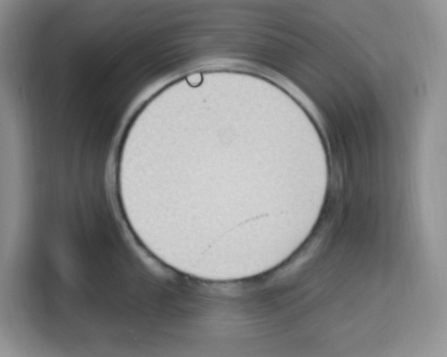 X0000113271053200910221055