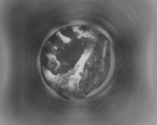 X0000113271055200910221055