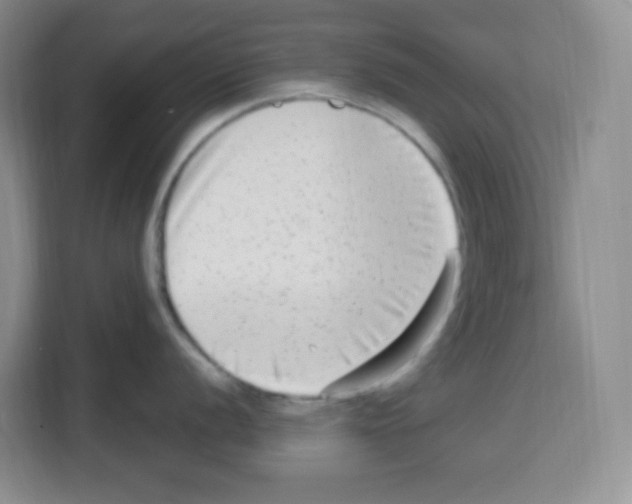 X0000113271056200910221055