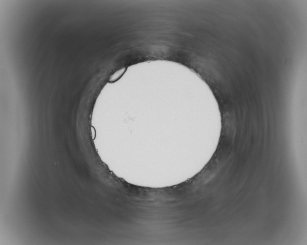 X0000113271057200910221055