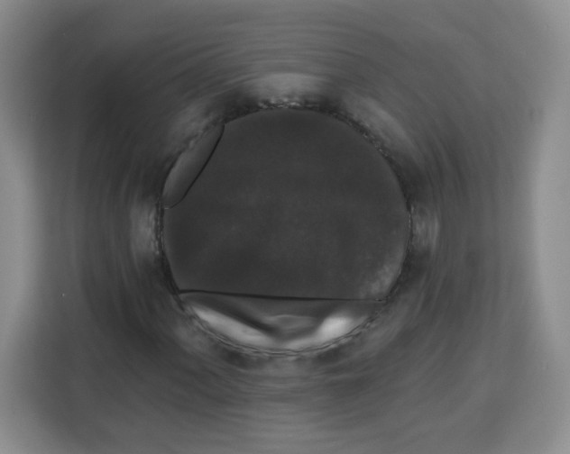 X0000113271060200910221055