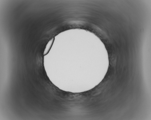 X0000113271061200910221054